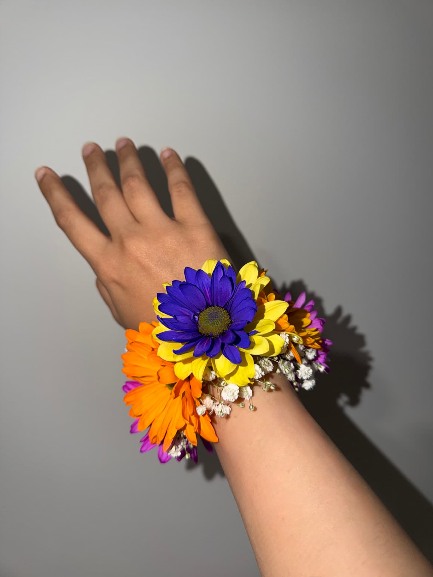 Wrist corsage of purple, yellow, orange and magenta daisies with baby's breath on a raised hand